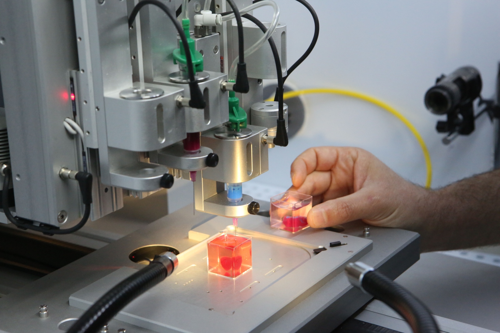 WASD Shift Printing a heart.